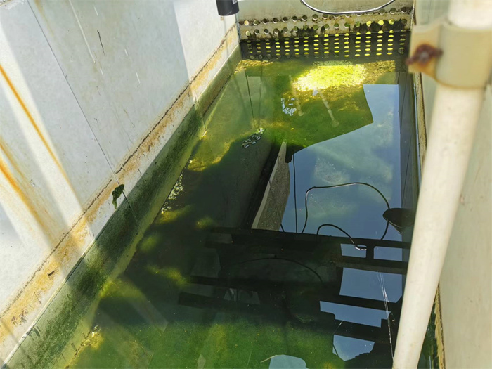 165959263881543.jpg 165959263881543.jpg