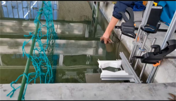 174280669728306.png 71501.png