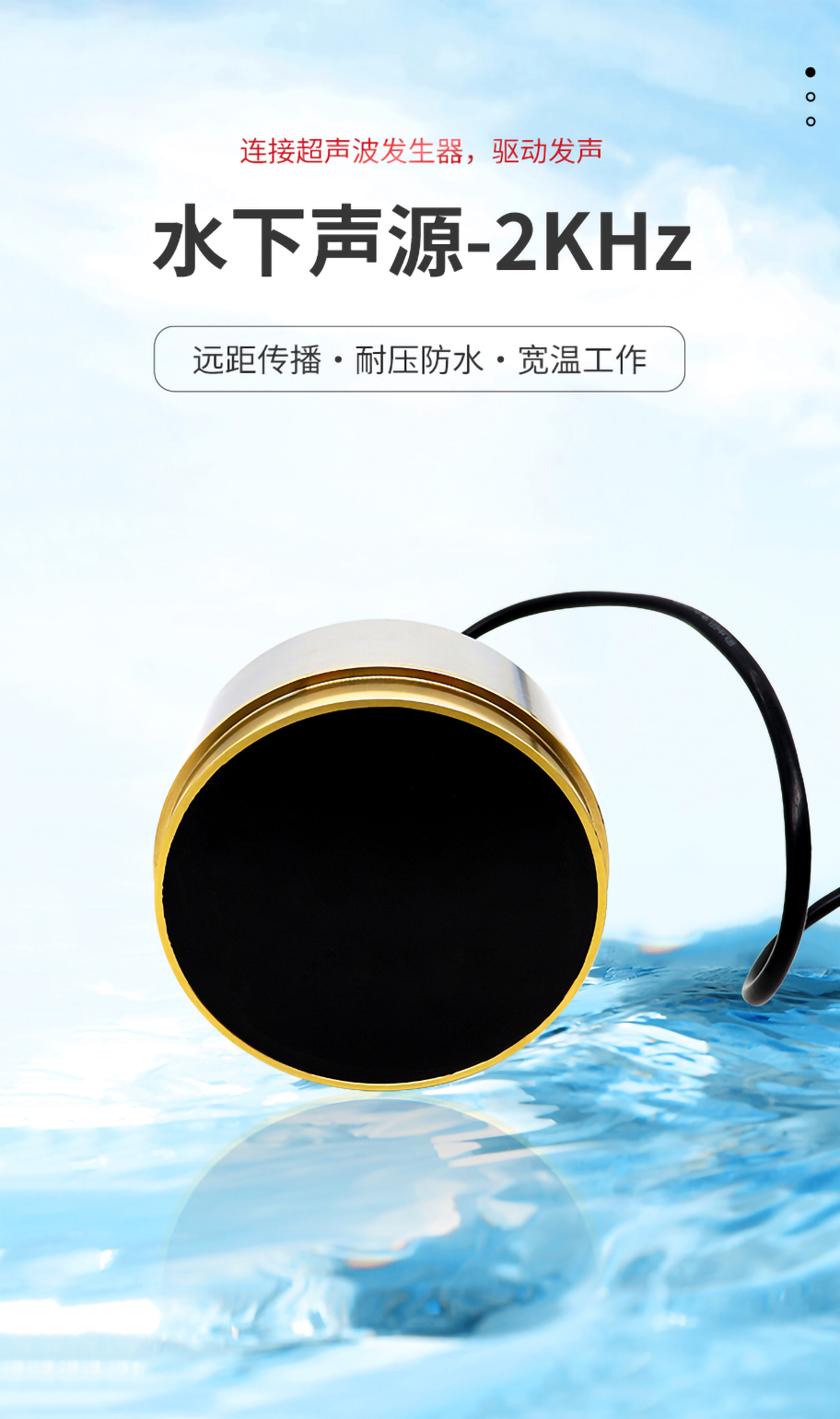 175404203285414.jpg DYW-2K-1000A其他用途換能器_01.jpg